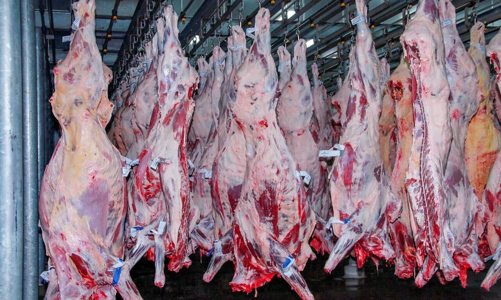 Rondônia registra aumento de cerca de 20% nas exportações de carne em 2024