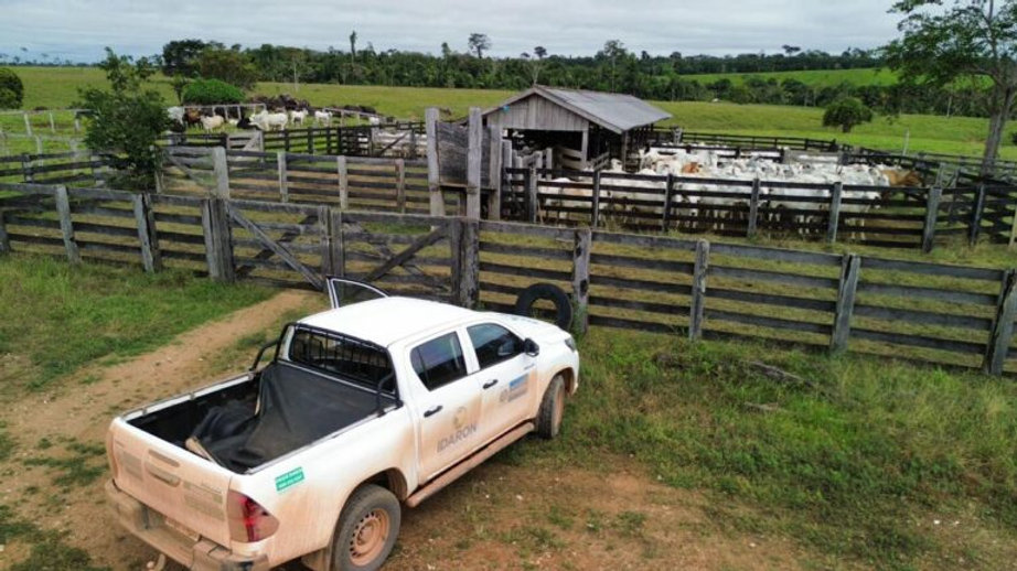 Ações para prevenir casos de raiva animal são intensificadas em Nova Mamoré