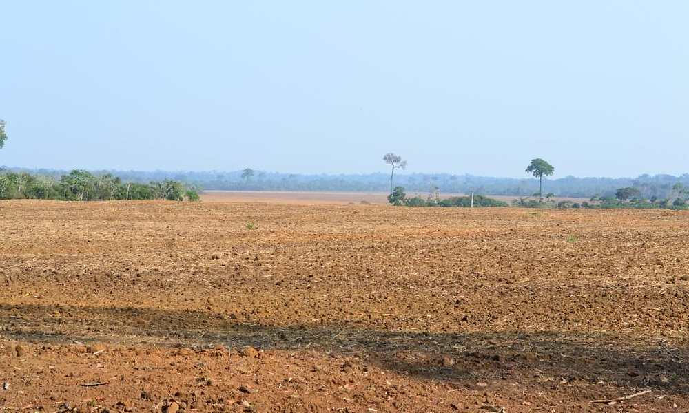 Rondônia inicia vazio sanitário da soja nesta quarta-feira