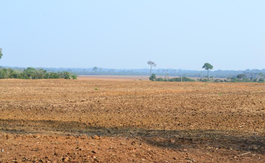 Rondônia inicia vazio sanitário da soja nesta quarta-feira