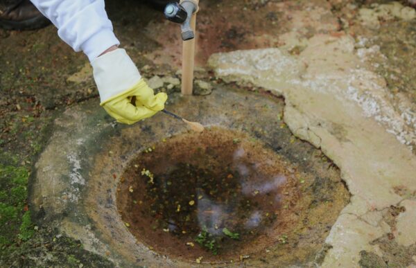 DENGUE: Vilhena reforça combate ao mosquito com aplicação de fumacê após 542 notificações em 2026